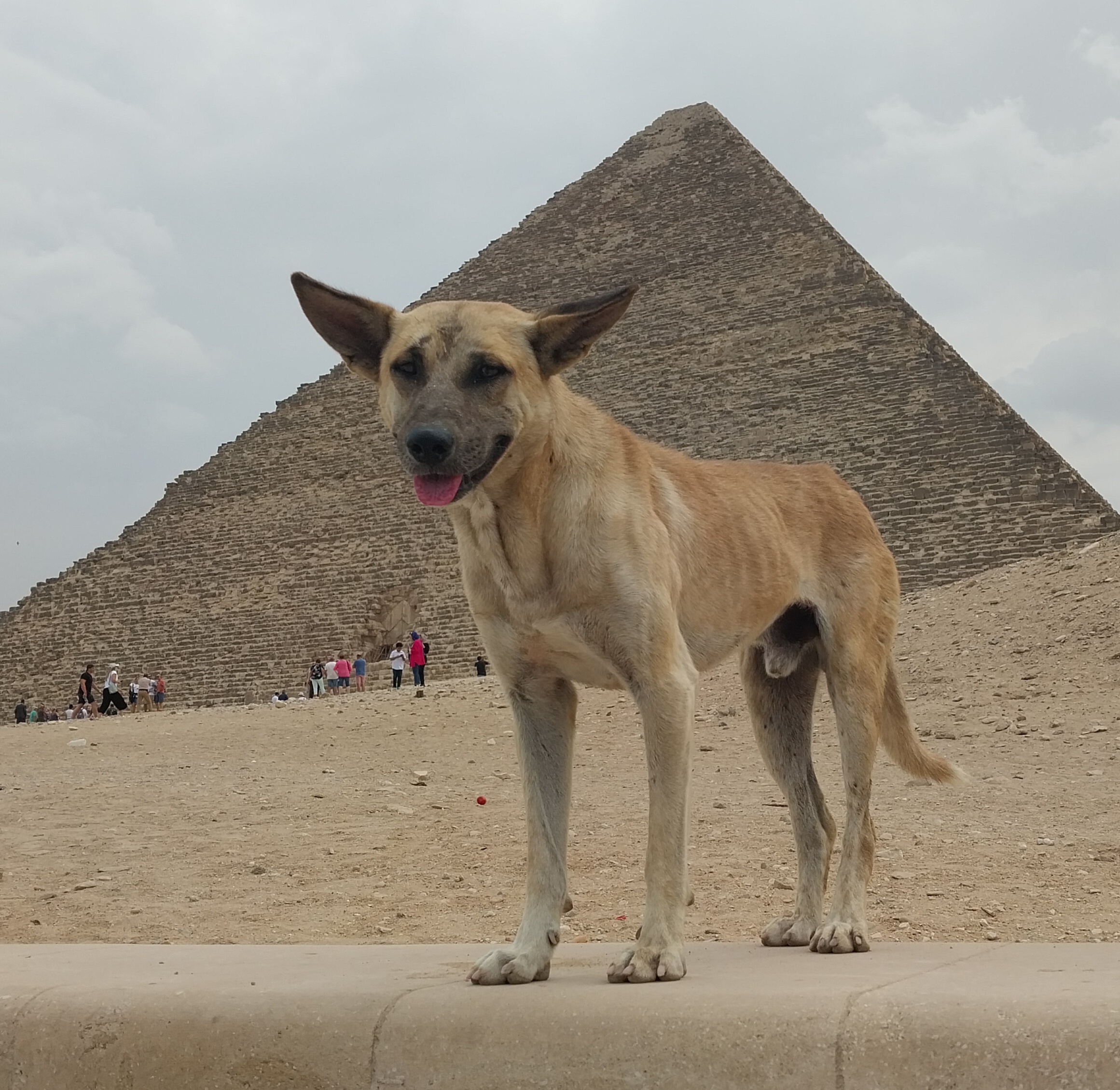 Ich war mal auf der Pyramide